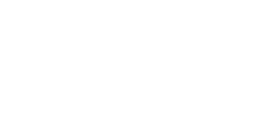 Livvi